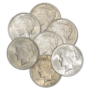 THE FORT:  90% Constitutional Silver Coin Box